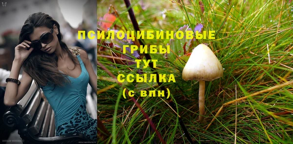 гидропоника Гусь-Хрустальный