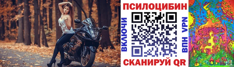 что такое   Семилуки  Галлюциногенные грибы GOLDEN TEACHER 